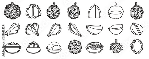 Flat linear icons set of durian fruits - vector style.