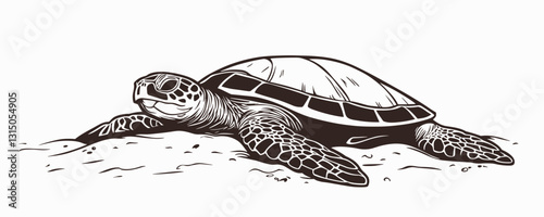 Sea turtle vector icons set in linear style depicting marine wildlife.