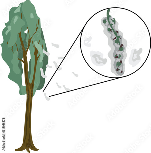 Stylized poplar tree with poplar seed tuft isolated on white background