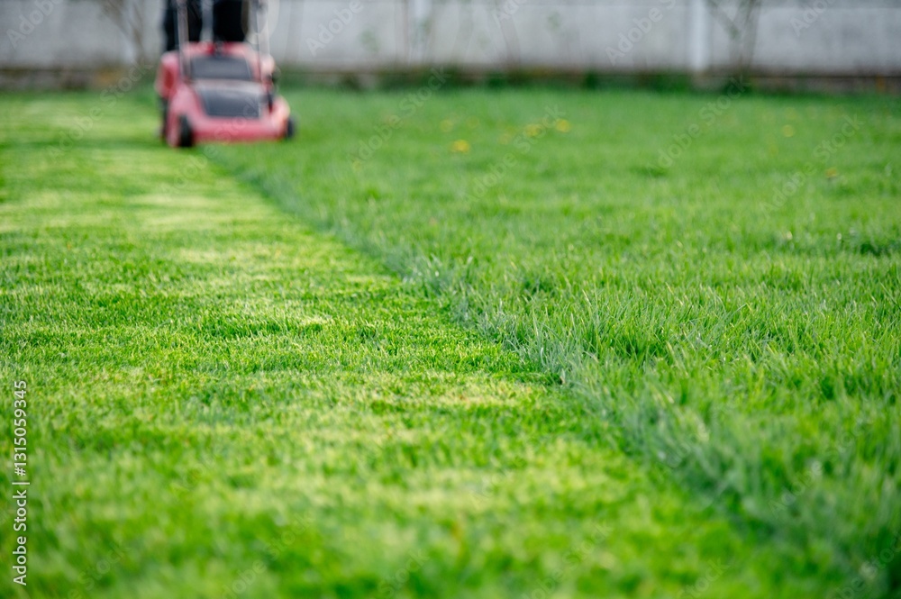 Lawn mowing activity in a backyard during the afternoon in early spring with freshly cut grass and vibrant green colors Lawn mowing activity in a backyard during the afternoon in early spring with freshly cut grass and vibrant green colors