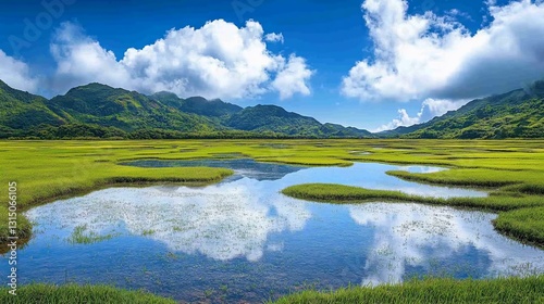 Tranquil wetland reflecting sky, mountains