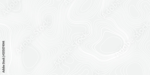 High-Precision Seamless Topographic Mapping with Elevation Details and Geographic Relief for Professional and Enthusiast Use
