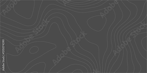 Seamless Geographic Mapping with Elevation Contours and Artistic Abstract Line Patterns for Modern Map Design

