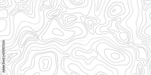 Innovative Topographic Mapping Featuring Geographic Relief, Elevation Contours, and Abstract Line Art for Mapping Enthusiasts