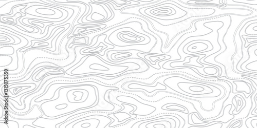 Innovative Topographic Mapping Featuring Geographic Relief, Elevation Contours, and Abstract Line Art for Mapping Enthusiasts