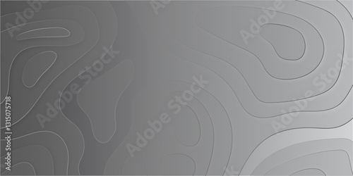 Modern Mapping Aesthetics with Smooth Abstract Contour Lines, Precise Elevation Relief, and Seamless Topographic Visualization