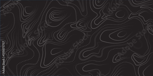 Modern Mapping Aesthetics with Smooth Abstract Contour Lines, Precise Elevation Relief, and Seamless Topographic Visualization