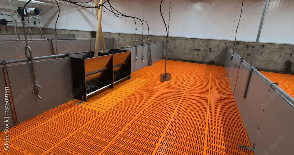 Pens for breeding piglets on a pig farm. Pigsty, pig breeding.