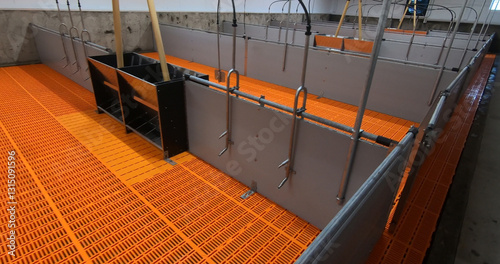 Pens for breeding piglets on a pig farm. Pigsty, pig breeding.