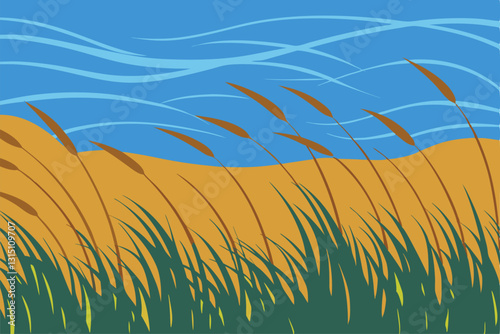 wheat field and blue sky