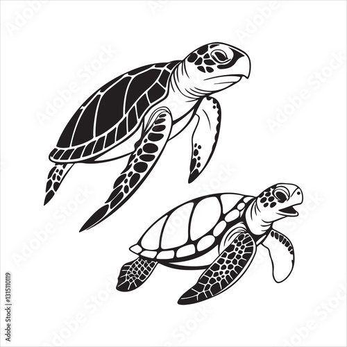 sea turtle vector illustration