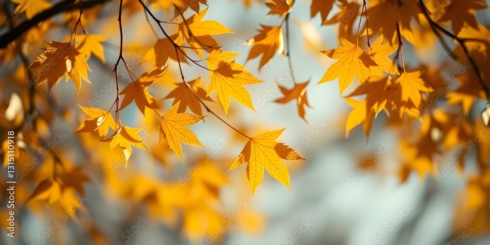 Autumn's Embrace: A vibrant close-up captures the beauty of golden maple leaves bathed in warm sunlight, a symbol of the season's serene charm. Autumn's Embrace: A vibrant close-up captures the beauty of golden maple leaves bathed in warm sunlight, a symbol of the season's serene charm.