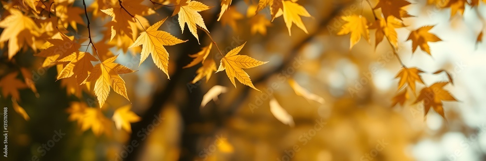 Autumn's Golden Canopy: A close-up captures the beauty of autumn, showcasing vibrant yellow leaves in the sun with some leaves falling, evoking a sense of tranquility and the seasonal changes. Autumn's Golden Canopy: A close-up captures the beauty of autumn, showcasing vibrant yellow leaves in the sun with some leaves falling, evoking a sense of tranquility and the seasonal changes.