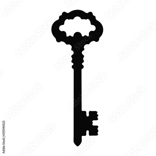 Elegant silhouette of vintage key on white background, symbolism of access