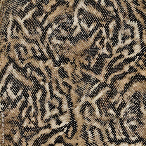Seamless patterned texture of animal skin, animal print.