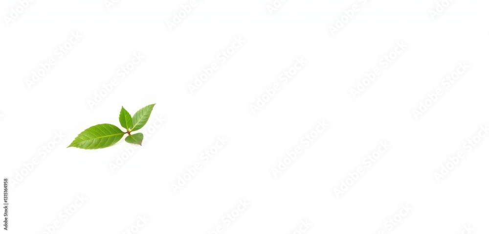 Single vibrant green plant, isolated on pure white backdrop, isolated, design element Single vibrant green plant, isolated on pure white backdrop, isolated, design element