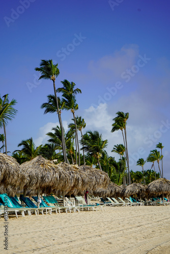 White sand beach with palm trees in Punta Cana, Dominican Republic