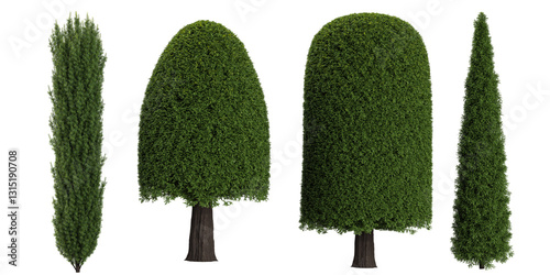 Εκτύπωση καμβά 3d illustration of topiary trees on transparent background