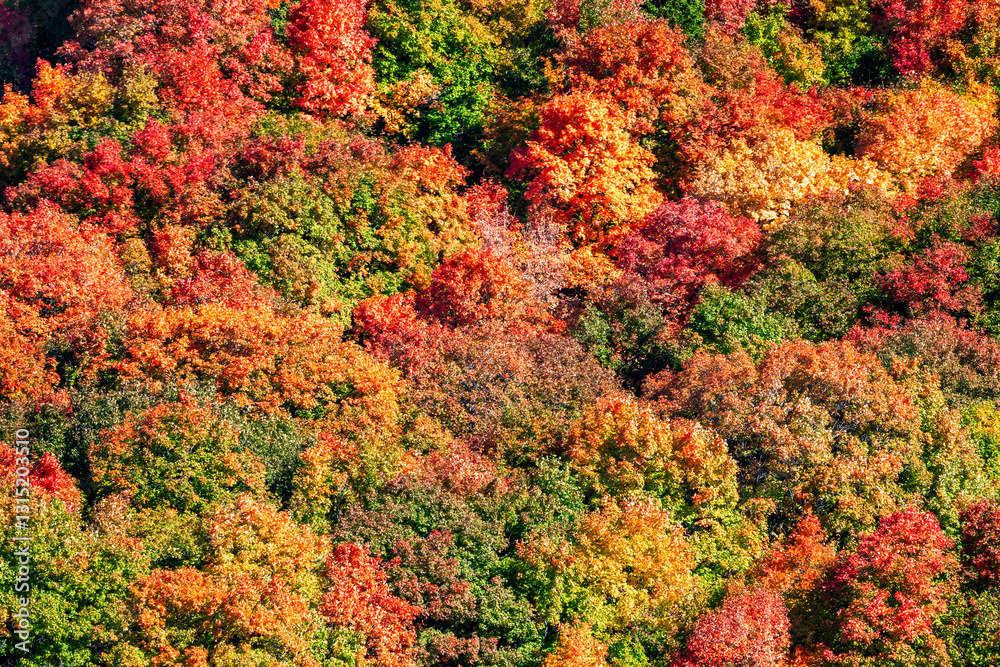 Fall foliage in Utah along I15 highway.