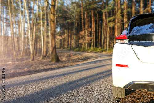 White car parked on the side of  paved road that winds through forest. Sunlight and shadows from tall trees.