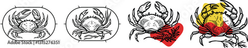 set of Crab with sea plants black vector, engraving sketch ink poster black illustration etching style tattoo, color blobs logo Crab, Sketch, Drawing, color blobs, Label, Claws, Vintage, Line Art