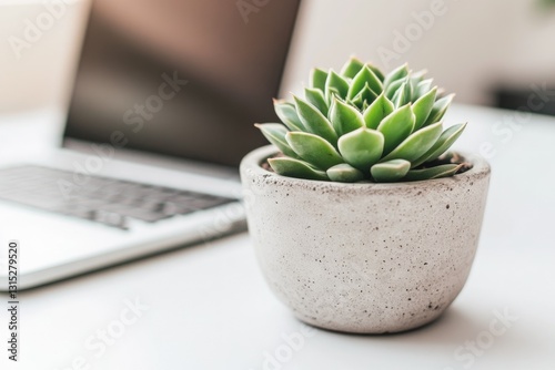 A succulent plant in a concrete pot sits on a desk next to a laptop, creating a minimalist workspace. photo