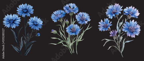 set of hand-drawn cute cornflowers