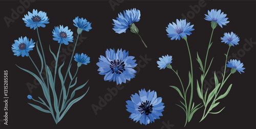 set of hand-drawn cute cornflowers