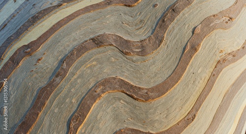 Eucalyptus Tree Bark Texture Showing Wavy Patterns and Natural Tones