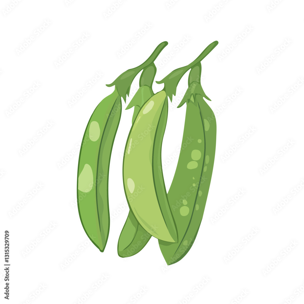2D flat vector illustration Fresh green beans in a garden icon isolated on a white background.
2D flat vector illustration Fresh green beans in a garden icon isolated on a white background.