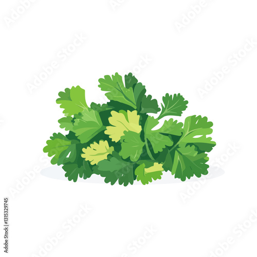 2D flat vector illustration Fresh green cilantro leaves in a spring icon isolated on a white background.

