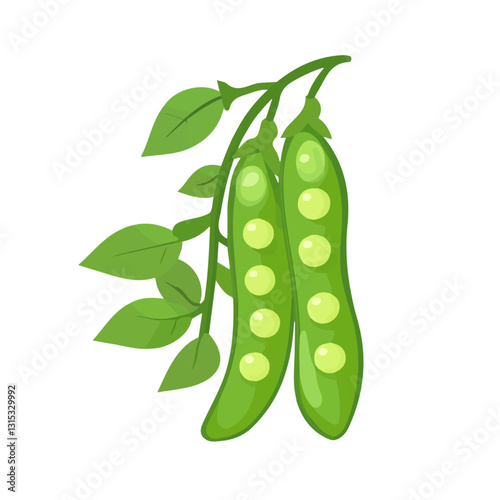 2D flat vector illustration Fresh green peas growing in spring icon isolated on a white background.

