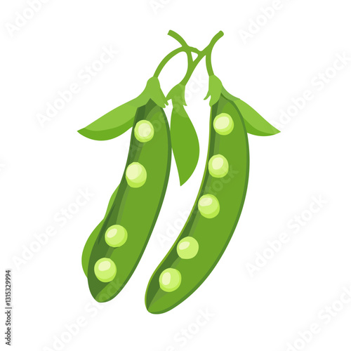 2D flat vector illustration Fresh green peas growing in spring icon isolated on a white background.

