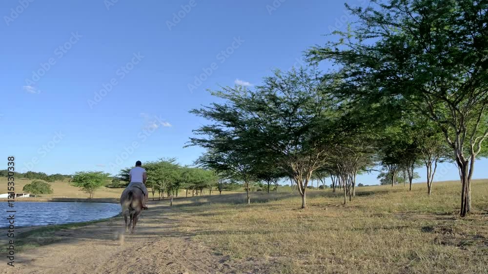Man Riding Horse, Running, Trotting, Animal, Farm, Cowboy, Equine, Rural, Lake, River, Water, Trees

