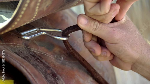 Man's Hand Saddling Horse, Animal Eye, Farm, Cowboy, Equine, Rural

