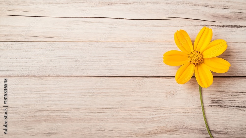 Obraz premium Elegant of wooden textures with a single yellow flower
