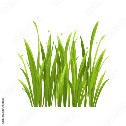 2D flat vector illustration Soft green grass with dew icon isolated on a white background.

