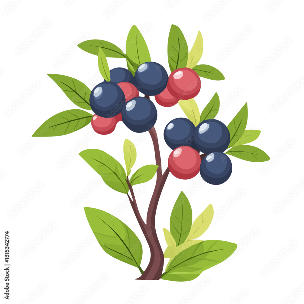2D flat vector illustration Spring berries ripening on a bush icon isolated on a white background.
2D flat vector illustration Spring berries ripening on a bush icon isolated on a white background.