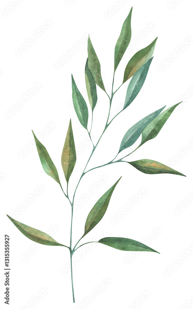 Watercolor hand drawn illustration of a grass sprig. Green sprig illustration. Perfect for wedding, birthday, seasonal holidays. Watercolor hand drawn illustration of a grass sprig. Green sprig illustration. Perfect for wedding, birthday, seasonal holidays.