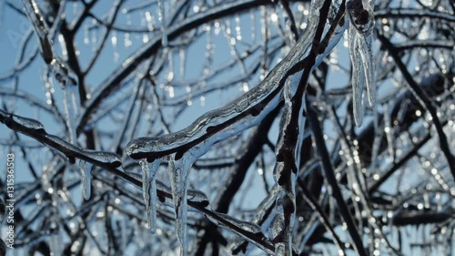 Frozen tree branches covered in icicles against a bright winter sky. Macro shot of ice-covered twigs with sparkling bokeh effect and reflections. Winter season and cold weather concept.