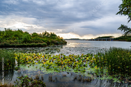 The scenery of Dingxiang Lake Park in Shenyang, China in autumn