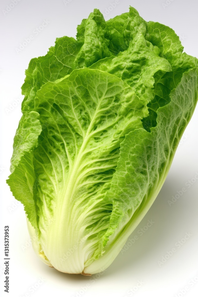 Fresh and vibrant Romaine lettuce with detailed leaf texture, ideal for health-focused content, recipes, or grocery store marketing, Displays nature's freshness and organic appeal, Fresh and vibrant Romaine lettuce with detailed leaf texture, ideal for health-focused content, recipes, or grocery store marketing, Displays nature's freshness and organic appeal,