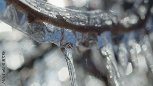 Macro shot of a tree branch encased in transparent ice with bokeh light reflections. Frozen winter nature scene with intricate ice formations. Abstract texture for design and print.