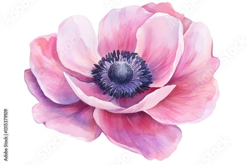 Pastel Anemone Blossom: Elegant Watercolor Illustration of Pink Flowers on White Background