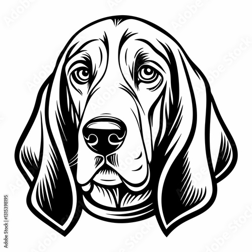 a black and white illustration of a hound dog's face with droopy ears and soulful eyes, vector illustration