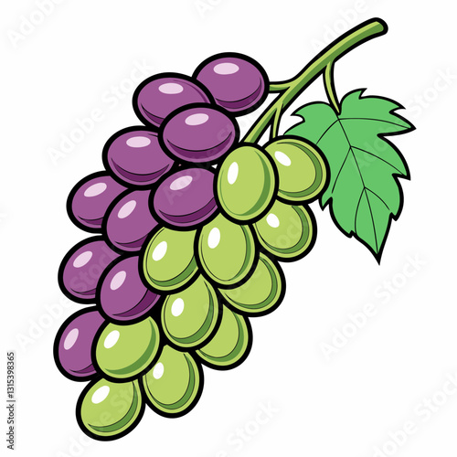 a bunch of juicy grapes, a mix of green and purple, are shown on a vine with a vibrant green leaf, vector cartoon illustration