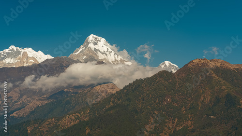 GHOREPANI, NEPAL - JANUARY 9, 2025: Wide shot landscape in Nepal, highlighting lush greenery and majestic mountains under a clear blue sky, view from Ghorepani, Annapurna range.