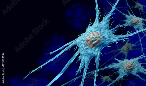 Принти на полотні Fibroblast Cell Anatomy as the structure and components of fibroblasts as cells producing collagen and maintaining connective tissue related to celullar reprogramming