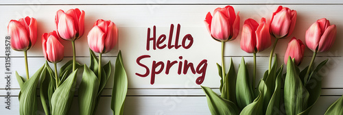 Blooming tulips greet spring with vibrant colors and cheerful vibes