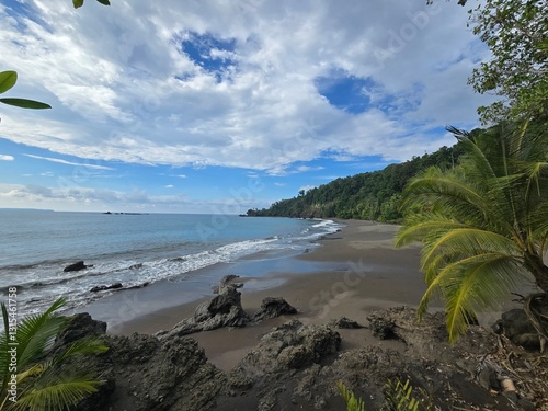 tropical beach with palm trees